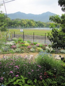 8-201205 家から見る庭と借景