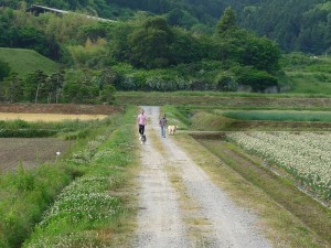 ⑦20140408　お散歩道