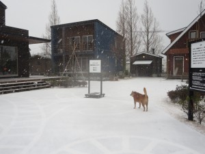 20160124 雪の展示場